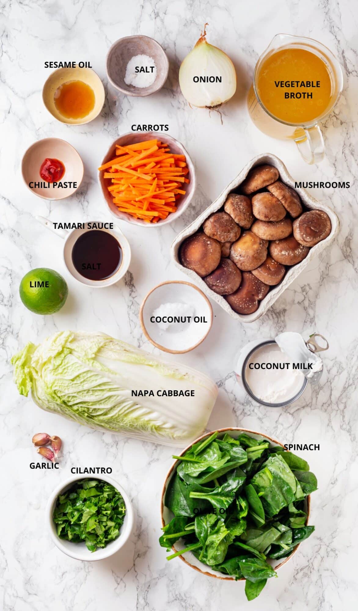 Ingredients for vegetarian coconut Thai soup- vegetable broth, onion, salt, sesame oil, chili paste, carrots, mushrooms, coconut oil, coconut milk, tamari sauce, lime, napa cabbage, spinach, garlic, and cilantro.